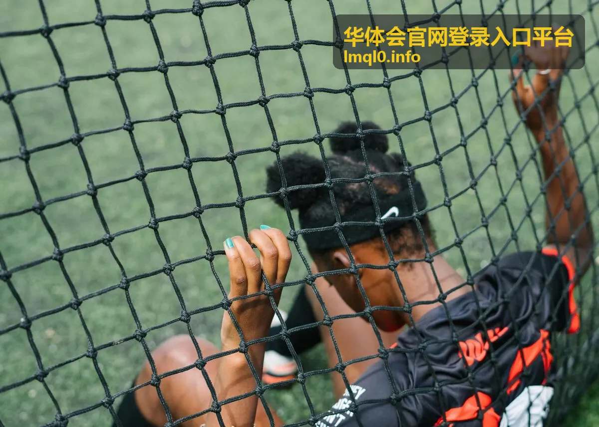 华体会官网登录入口平台动态资讯